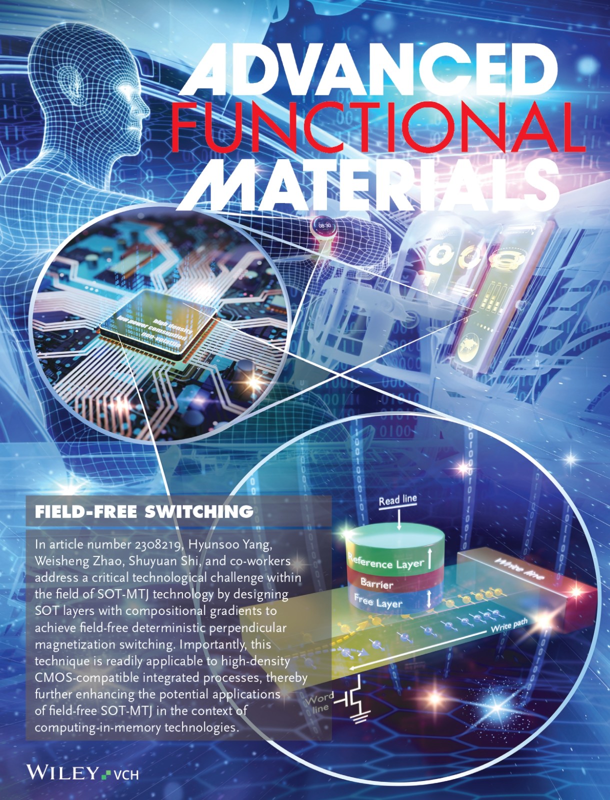 Adv Funct Materials.jpg