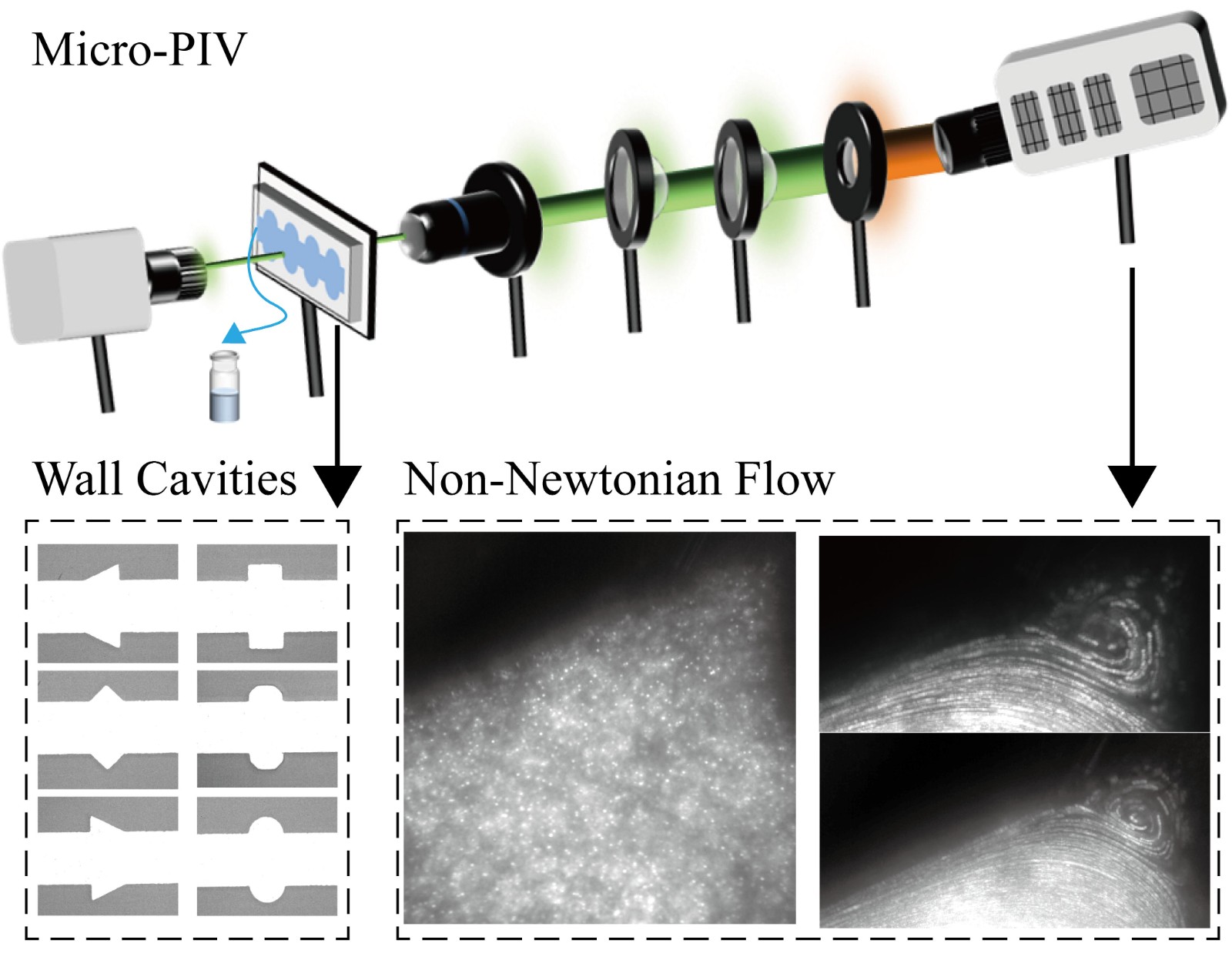 graph abstract(1).jpg