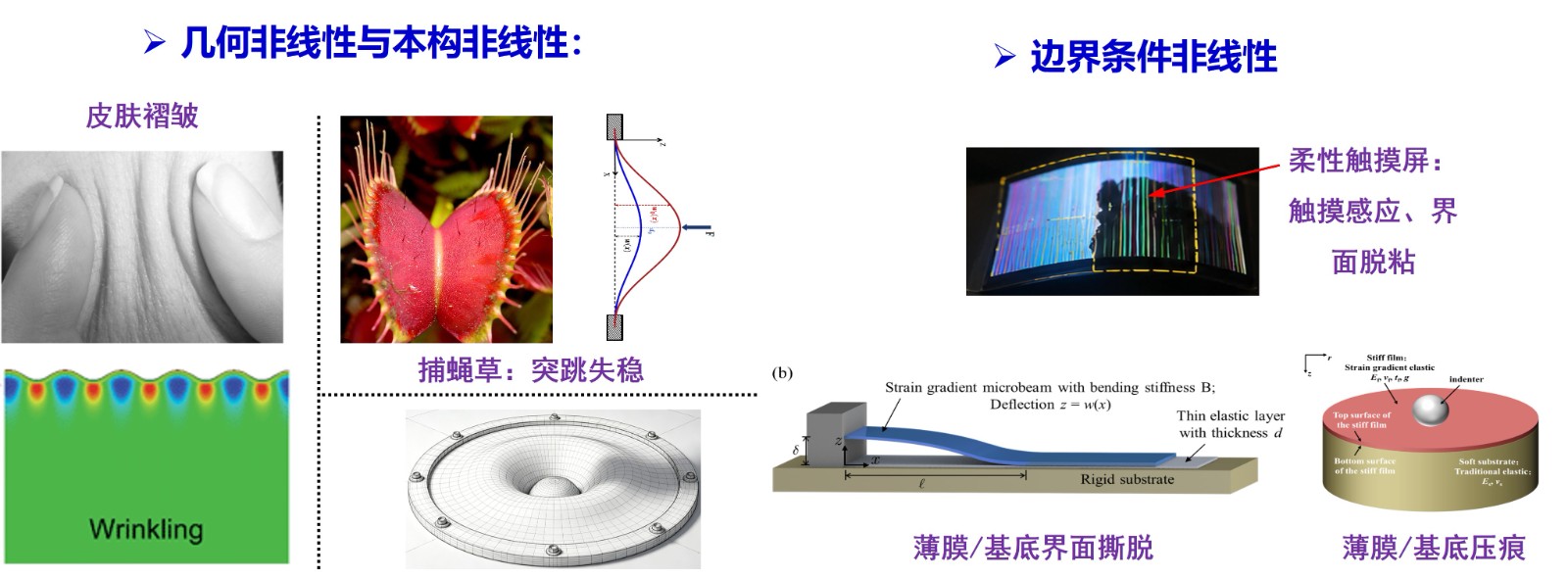 图片5.jpg 图片5.jpg