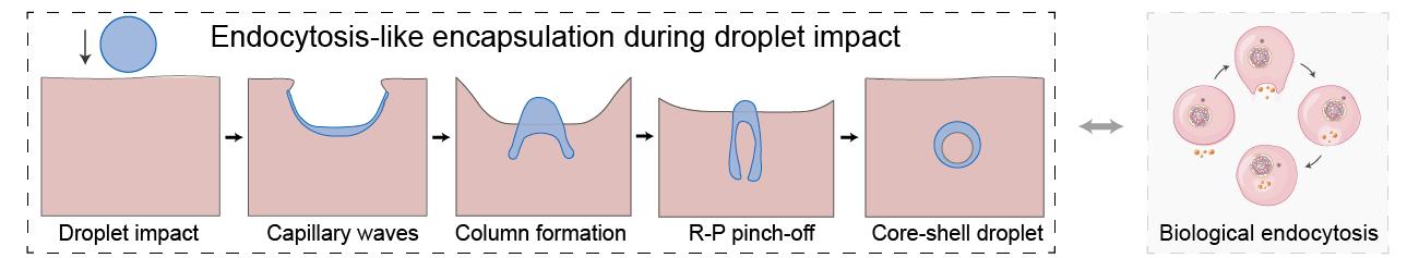 Graphical image_画板 1(1)(1).jpg